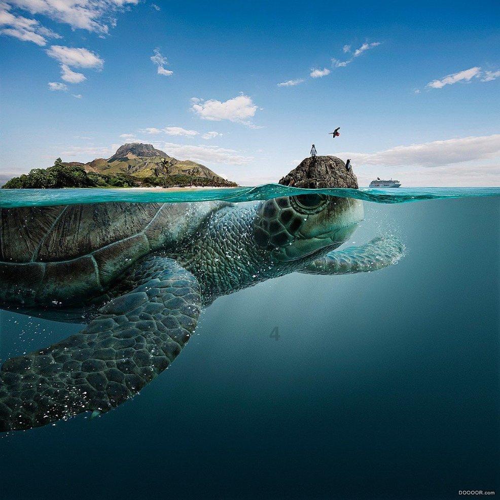 逃出海滩度假胜地
