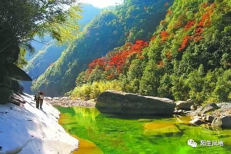 瑜伽到底能不能减肥，看完你就明白了游戏画面